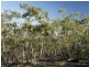33 Cobbs Hill Road, Bridgewater TAS 7030