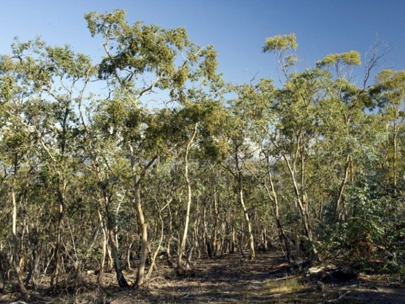 33 Cobbs Hill Road, Bridgewater TAS 7030