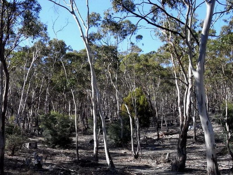 33 Cobbs Hill Road, Bridgewater TAS 7030