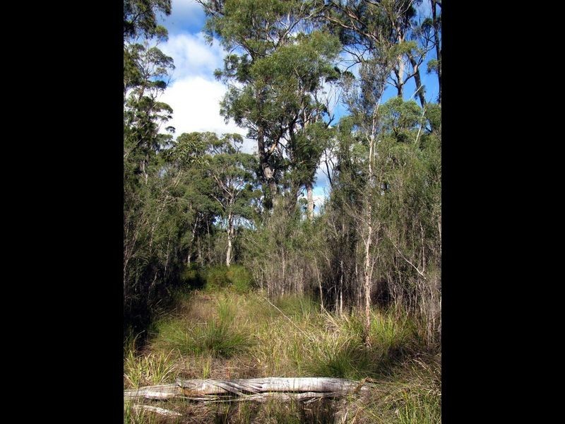 Greens Beach Road, Clarence Point TAS 7270