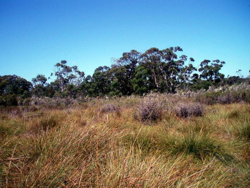 Greens Beach Road, Clarence Point TAS 7270