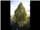 Greens Beach Road, Clarence Point TAS 7270
