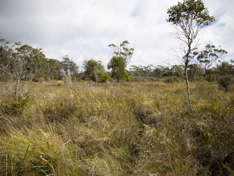 Greens Beach Road, Clarence Point TAS 7270