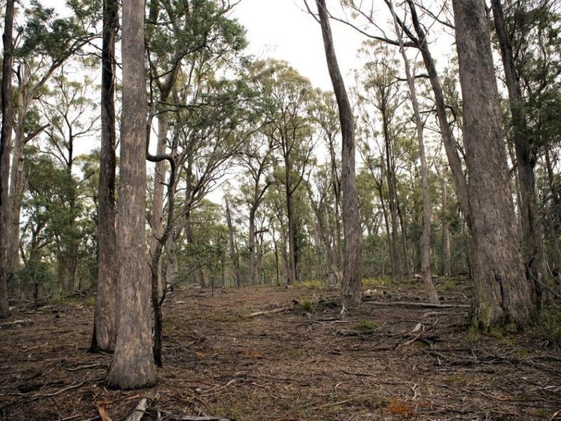 Powranna Rd, Cressy TAS 7302