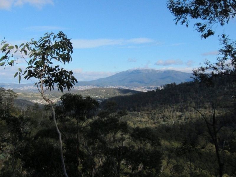Lot 1 Grasstree Hill Road, Grasstree Hill TAS 7017