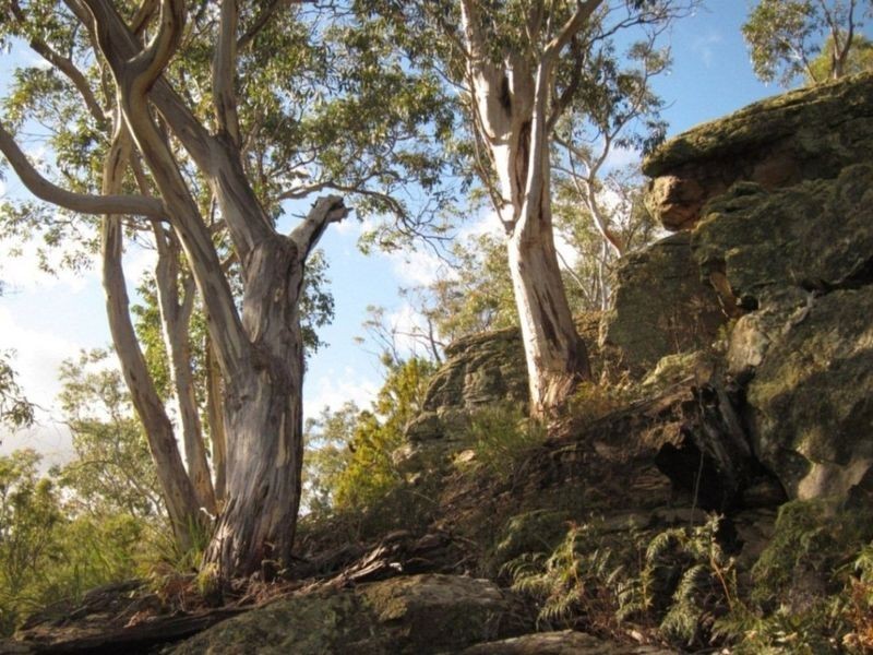 Lot 1 Grasstree Hill Road, Grasstree Hill TAS 7017