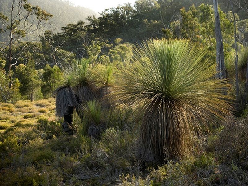 Lot 1 Grasstree Hill Road, Grasstree Hill TAS 7017