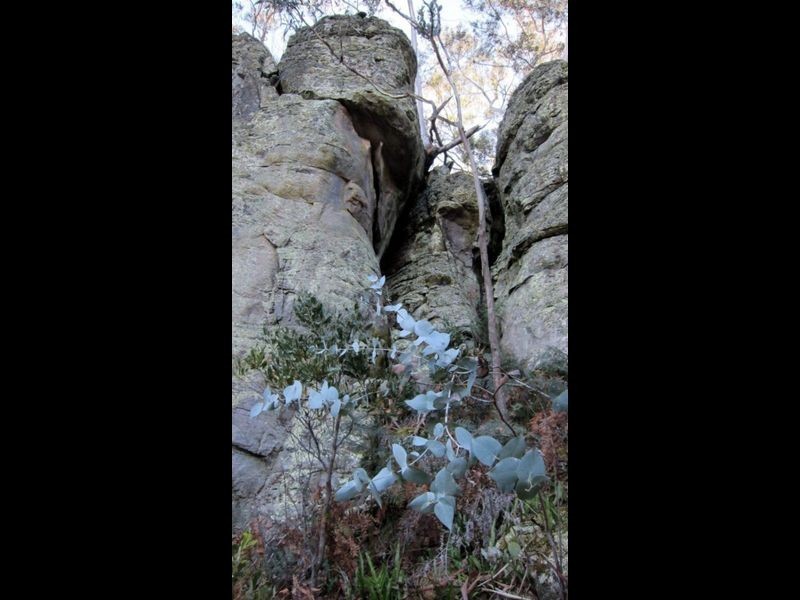 Lot 1 Grasstree Hill Road, Grasstree Hill TAS 7017