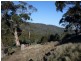 Lot 2 Grasstree Hill Road, Grasstree Hill TAS 7017