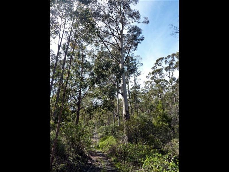 Lot 2 Grasstree Hill Road, Grasstree Hill TAS 7017