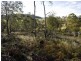 Lot 1 2 3 1190 Marked Tree Road, Hollow Tree TAS 7140