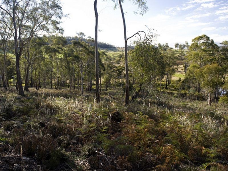 Lot 1 2 3 1190 Marked Tree Road, Hollow Tree TAS 7140