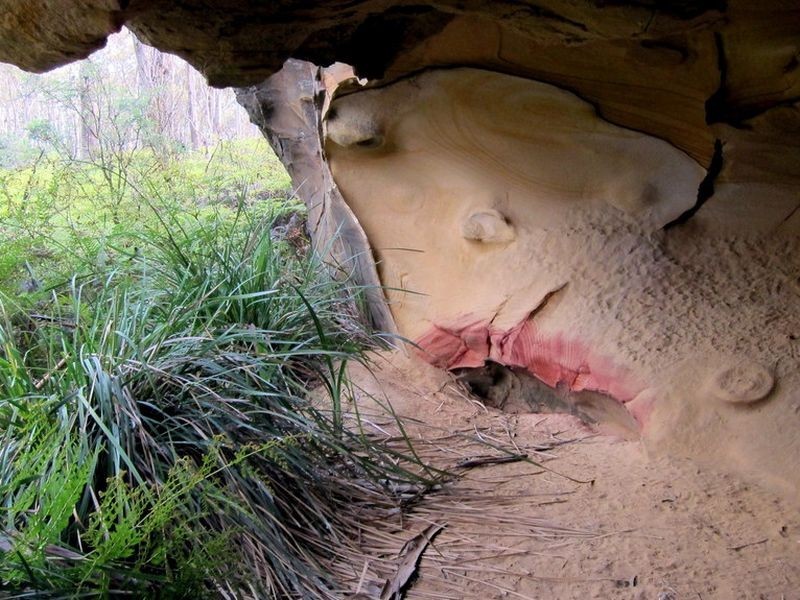 Lot 1 2 3 1190 Marked Tree Road, Hollow Tree TAS 7140