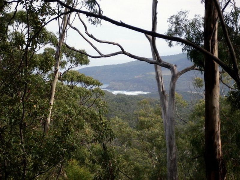 Roaring Beach Road, Nubeena TAS 7184