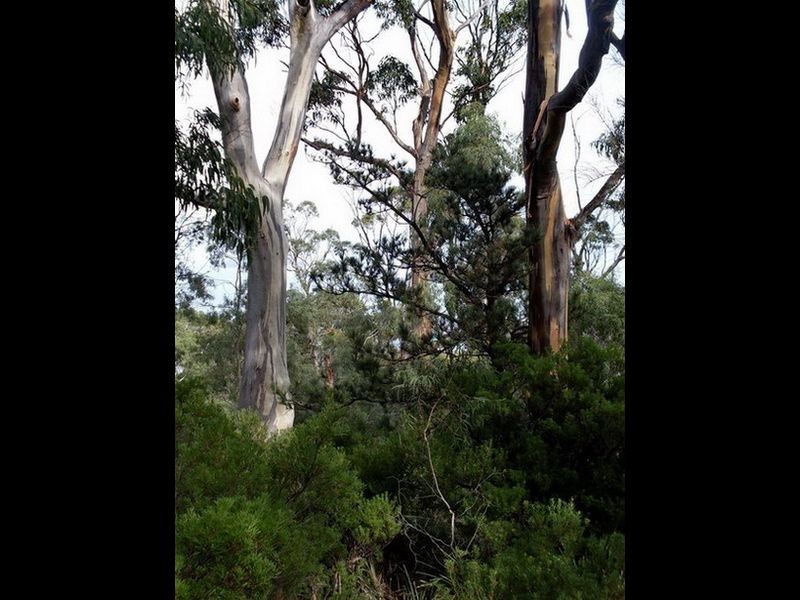 Roaring Beach Road, Nubeena TAS 7184