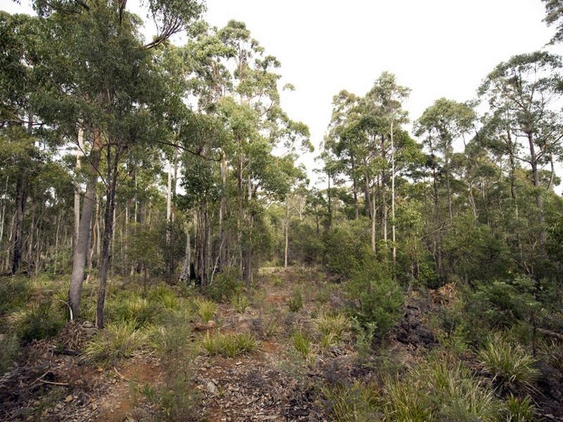 Prossers Road, Nunamara TAS 7259