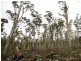 Prossers Road, Nunamara TAS 7259