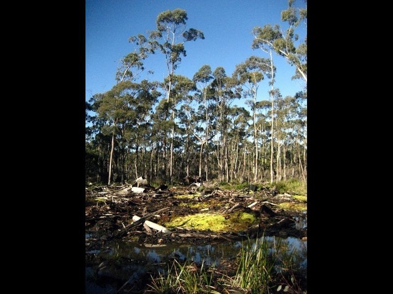 Prossers Road, Nunamara TAS 7259