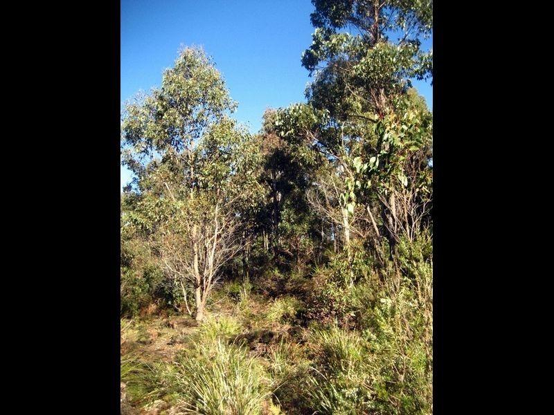 Prossers Road, Nunamara TAS 7259
