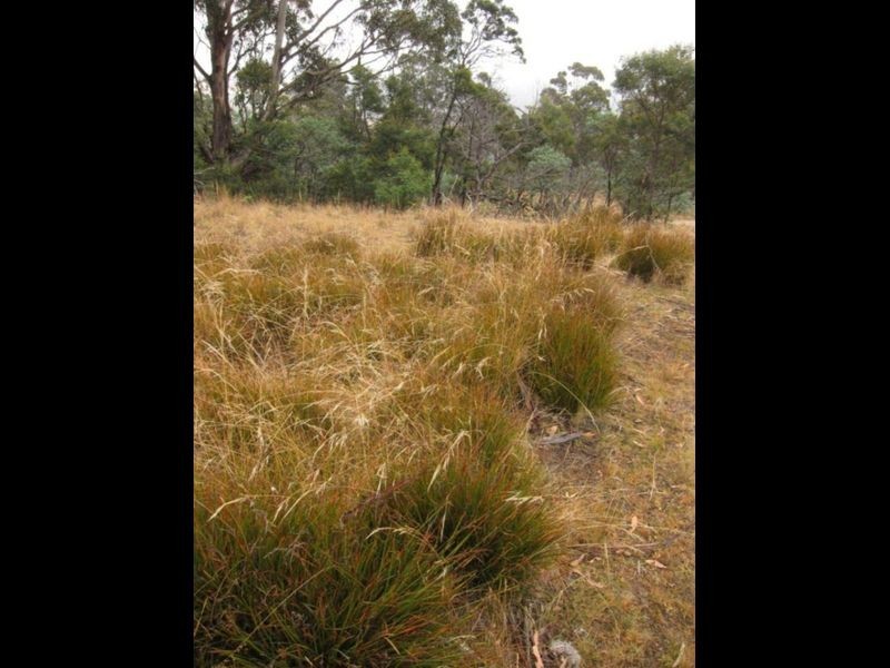 107 Downhams Road, Risdon Vale TAS 7016