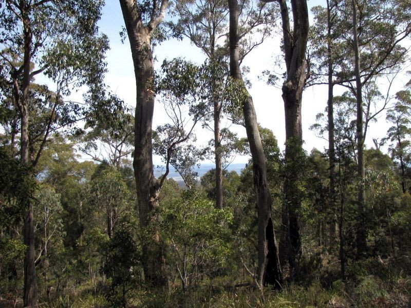 Prossers Road, Underwood TAS 7268
