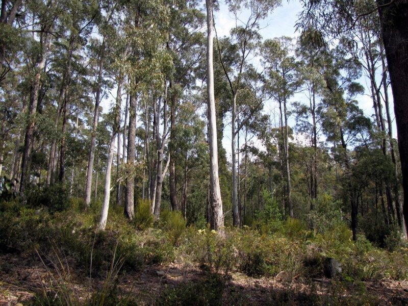 Prossers Road, Underwood TAS 7268