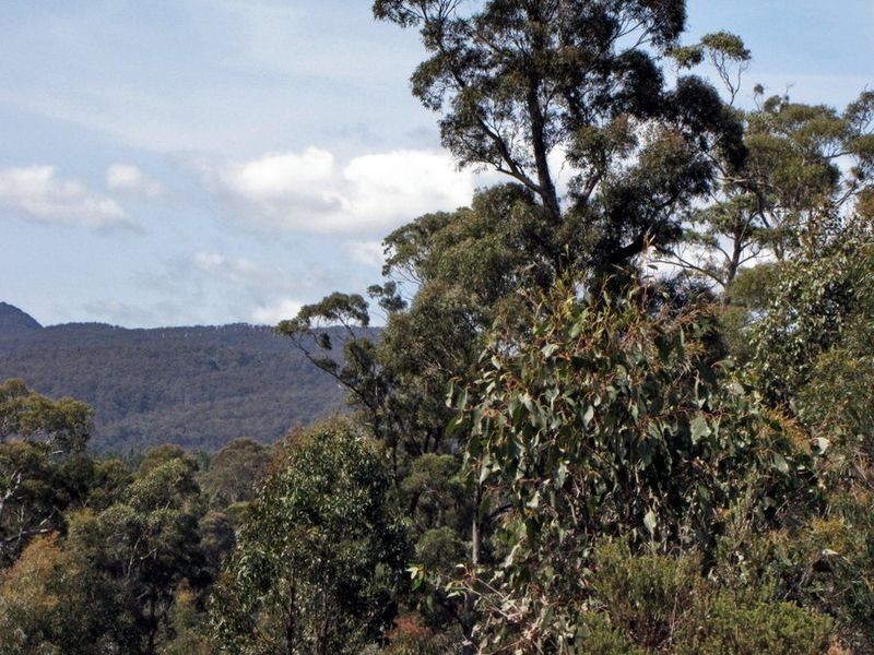 Prossers Road, Underwood TAS 7268