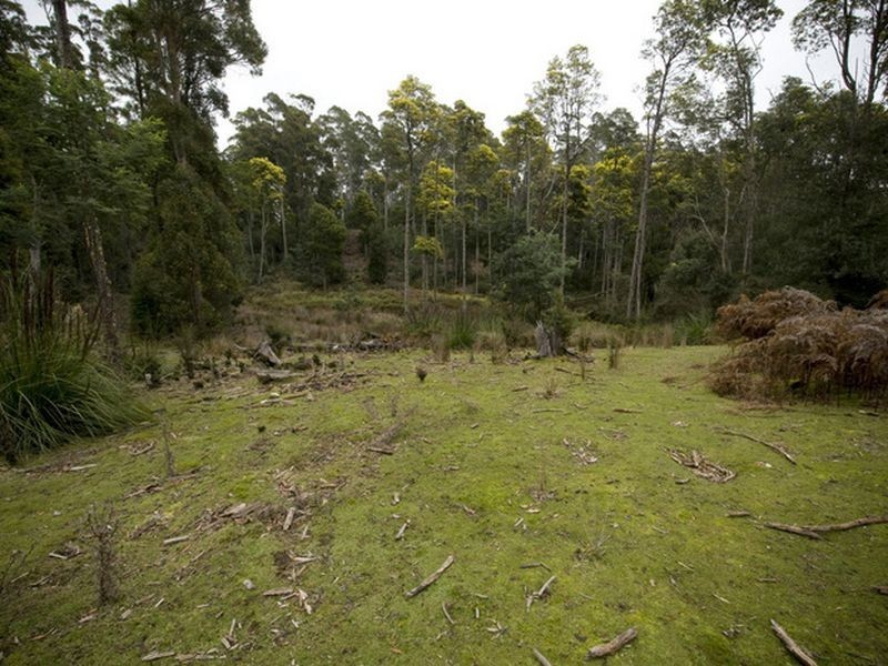White Mills Road, Underwood TAS 7268