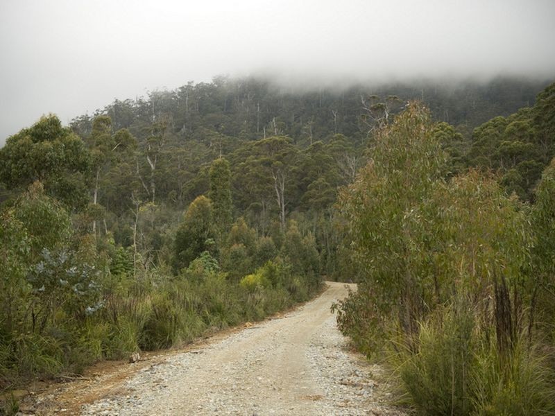 White Mills Road, Underwood TAS 7268