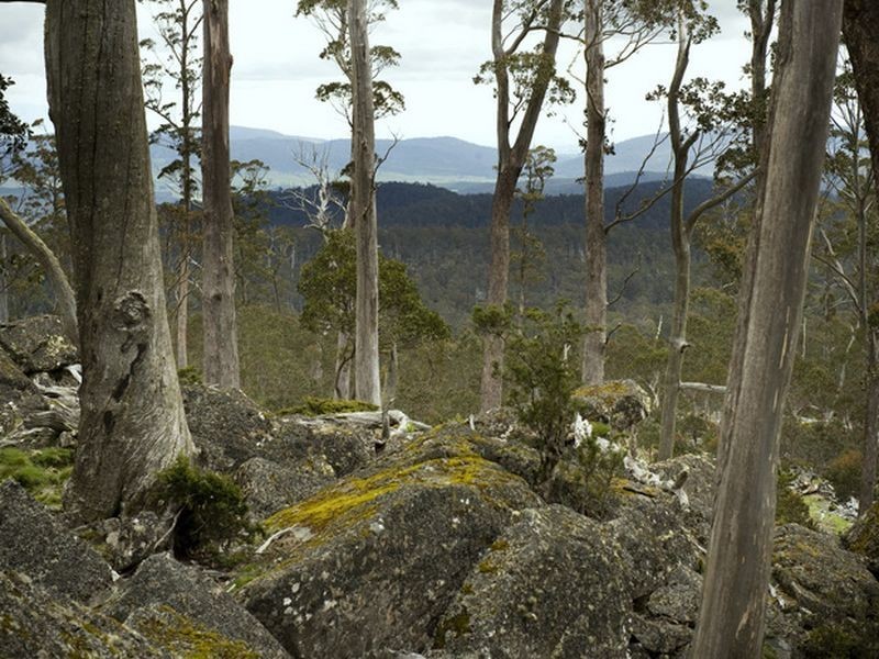 Schulhofs Road, Blessington TAS 7212