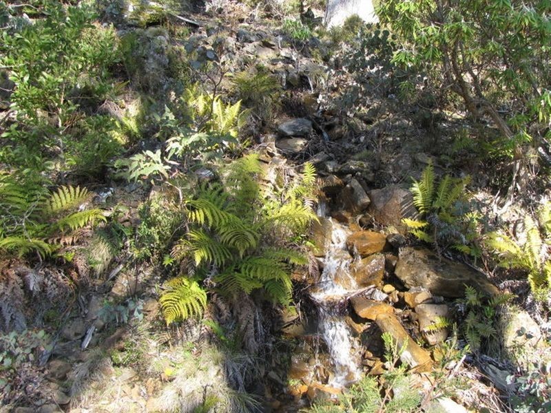 Schulhofs Road, Blessington TAS 7212