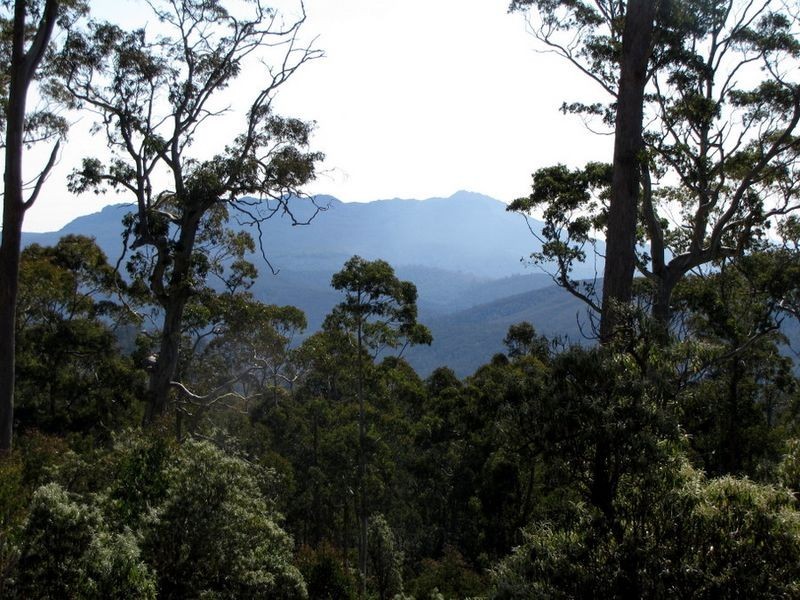 Schulhofs Road, Blessington TAS 7212