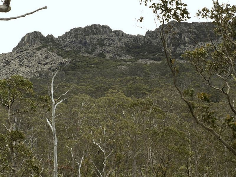 Schulhofs Road, Blessington TAS 7212