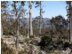 Schulhofs Road, Blessington TAS 7212