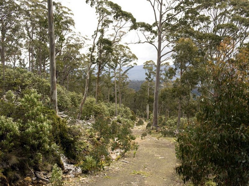 Schulhofs Road, Blessington TAS 7212