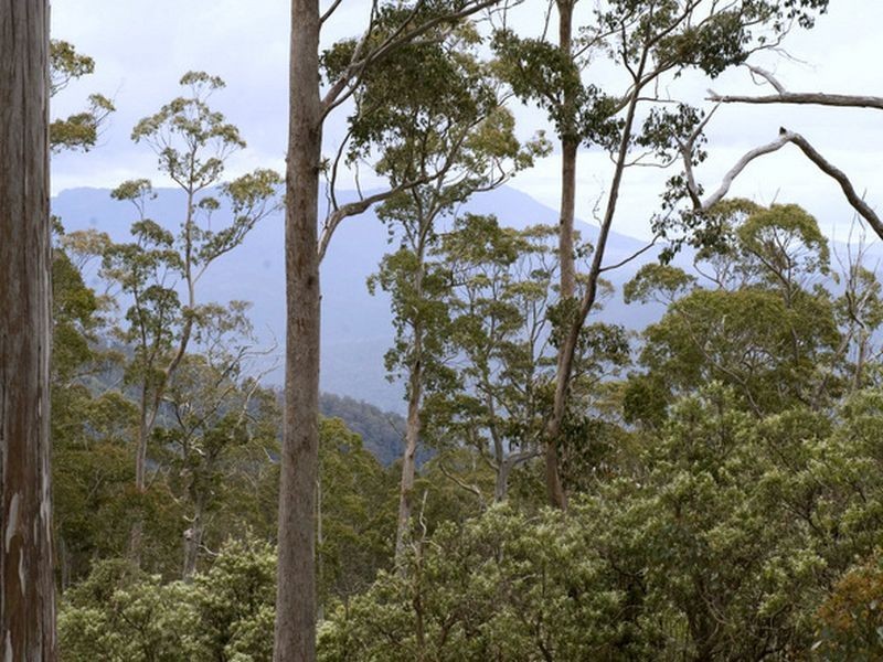 Schulhofs Road, Blessington TAS 7212