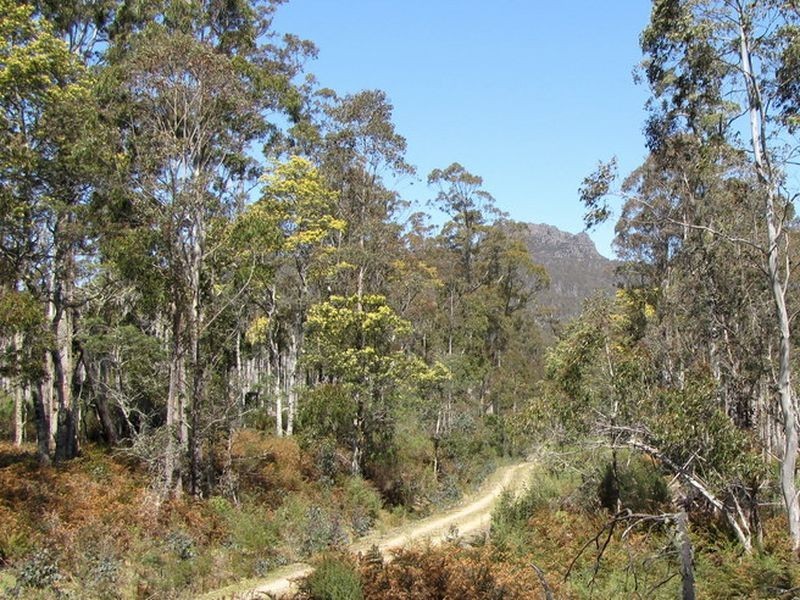 Roses Tier Road, Blessington TAS 7212