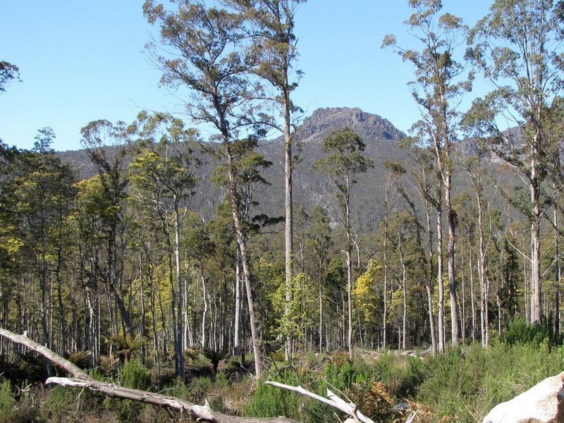 Roses Tier Road, Blessington TAS 7212