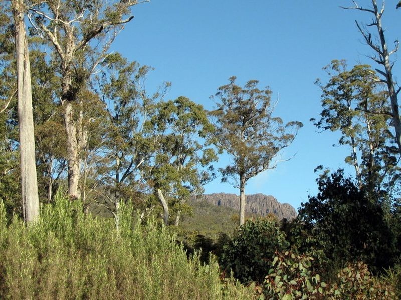 Roses Tier Road, Blessington TAS 7212