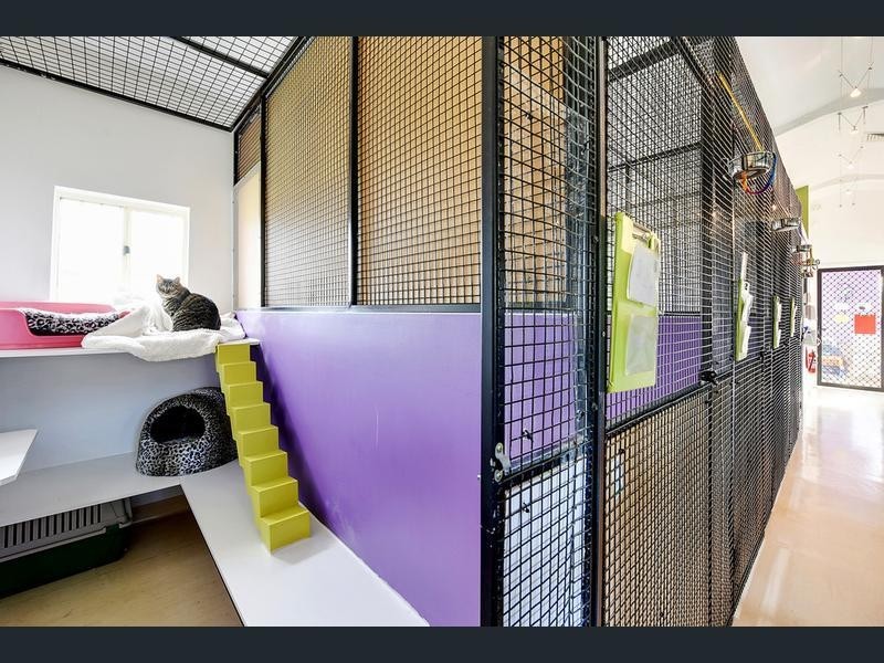 56 Kathleen Drive, Old Beach TAS 7017