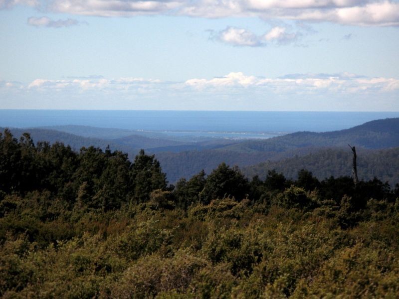 Forest Lodge Road, Pyengana TAS 7216