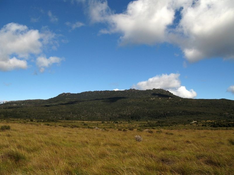 Forest Lodge Road, Pyengana TAS 7216