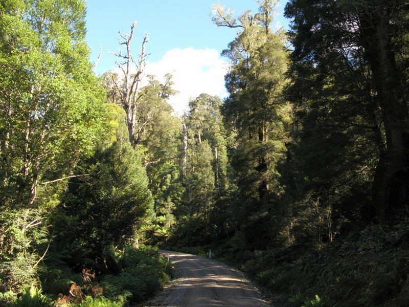 Forest Lodge Road, Pyengana TAS 7216