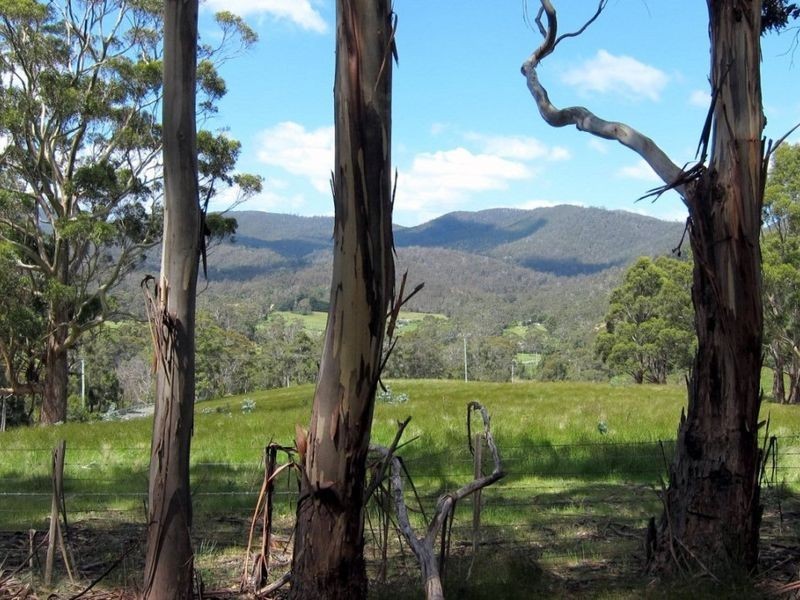 Channel Hwy, Randalls Bay TAS 7112