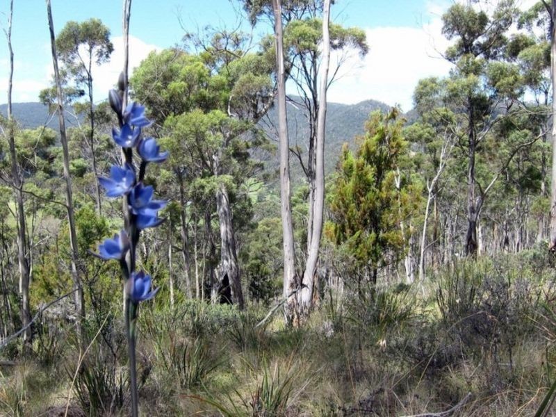 Channel Hwy, Randalls Bay TAS 7112