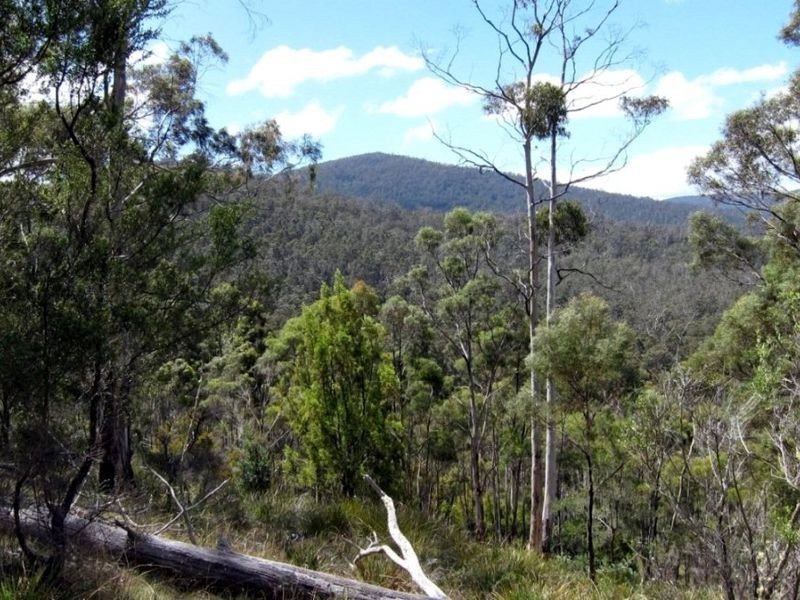 Channel Hwy, Randalls Bay TAS 7112