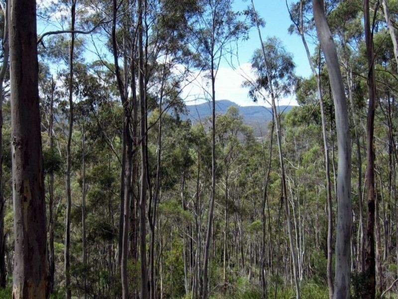 Channel Hwy, Randalls Bay TAS 7112