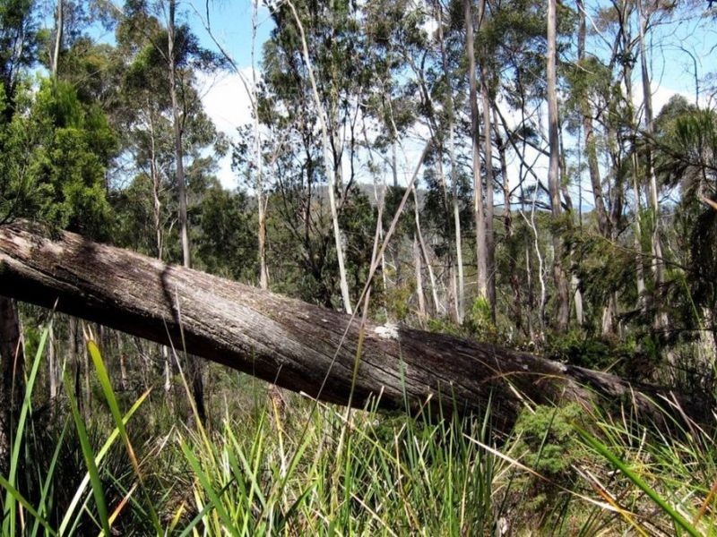 Channel Hwy, Randalls Bay TAS 7112
