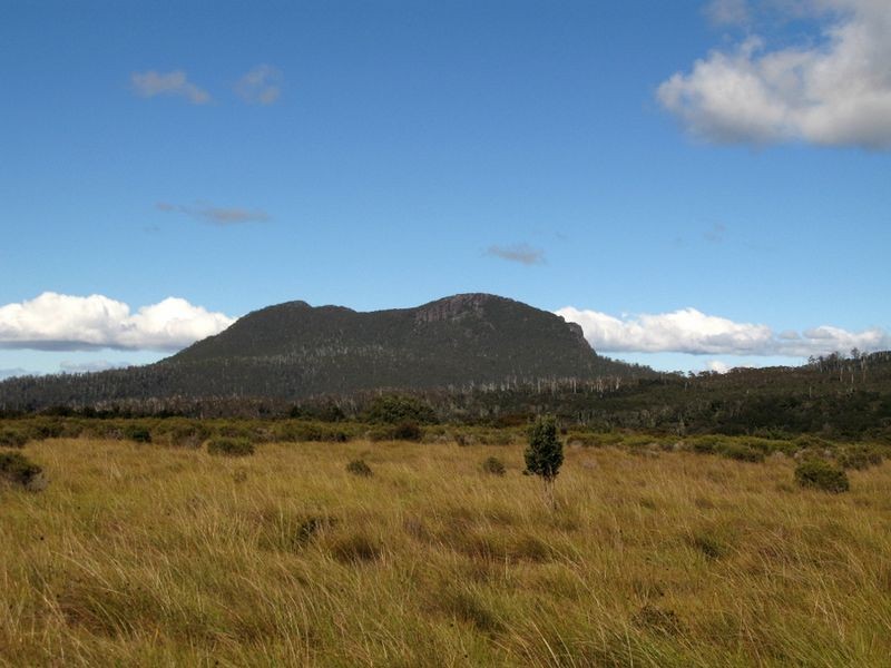 Forest Lodge Rd, Pyengana TAS 7216