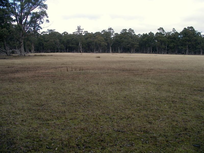 Glovers Rd, Bothwell TAS 7030